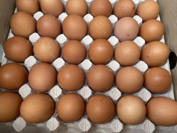 Домашние куриные яйца - продажа ящиками! 360 шт у ящику