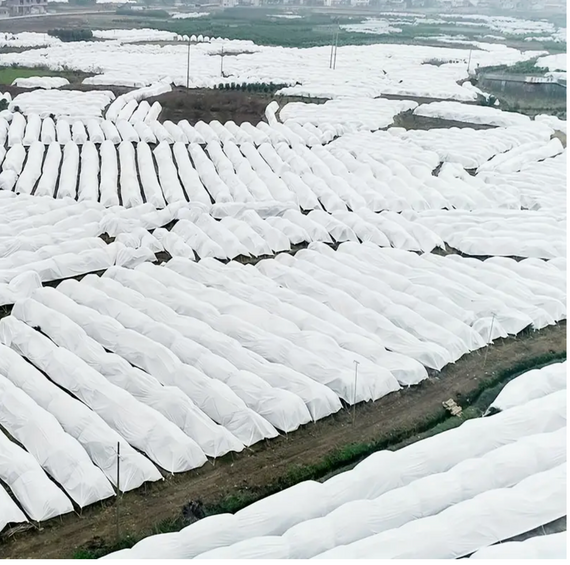 Агроволокно 30 г/м² 3.2х5 метра белое пакетированное | Зображення 8