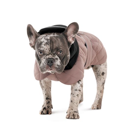 Попона Max ХS такса для собак | Зображення 1