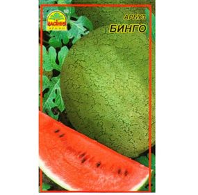 Насіння кавуна Бінго 1 г (Насіння країни)