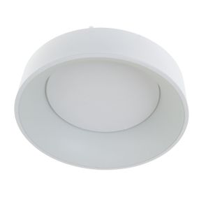 Светильник светодиодный настенно-потолочный накладной WBL-28C/30W*2 WH