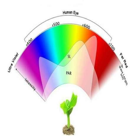 Фито светодиод LED 10W 400-840 нм (полный спектр) | Зображення 2