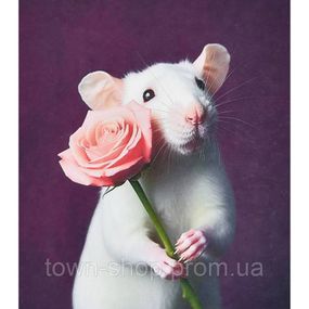 Алмазная мозаика "Мышка с подарком" SK88223 40х50 см
