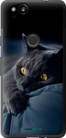 Чохол на Google Pixel 2 Димчастий кіт "825t-1075-2448"