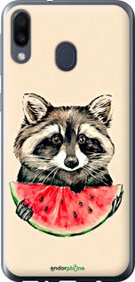 Чохол на Samsung Galaxy M20 Єнотик з кавуном "4605t-1660-2448"