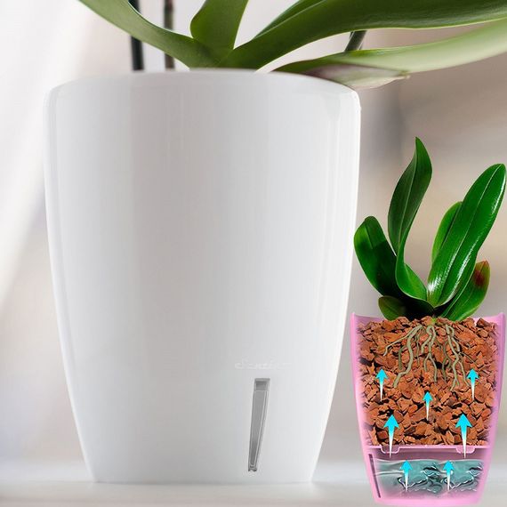 Вазон з автополиву Орхідея Твін 2 л білий | Зображення 1