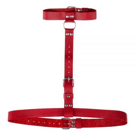 Гартер Double Ring of Humiliti Red Sex Aura