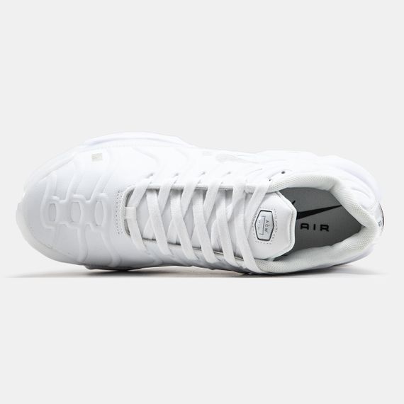 Чоловічі кросівки Air Max TN Terrascape весна / літо / осінь 1337 42 | Зображення 1