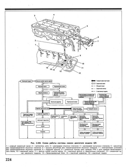 Nissan Primera (P12). Руководство по ремонту и эксплуатации. Книга | Зображення 3