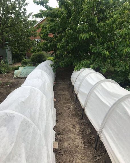 Парник 5 м 60 г/м2 складаний для дачі з білого агроволокна | Зображення 9