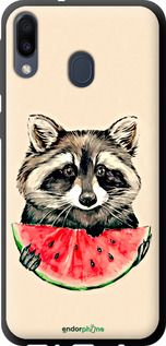 Чохол на Samsung Galaxy M20 Єнотик з кавуном "4605b-1660-2448"