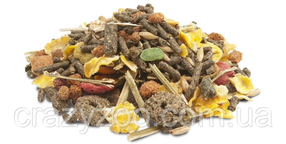 Корм для морских свинок Versele-Laga Crispy Muesli Cavia с витамином C 1 кг 617113 | Зображення 1