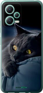 Чохол на Xiaomi Redmi Note 12 5G Димчастий кіт "825u-2934-2448"