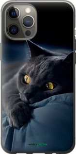 Чохол на iPhone 12 Pro Max Димчастий кіт "825t-2054-2448"