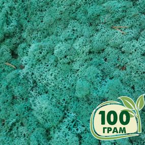 Стабілізований мох ягель Смарагдовий 100 грам