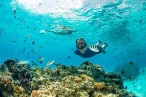 Маска 100 Comfort для снорклінгу для дорослих темно-сіра - M