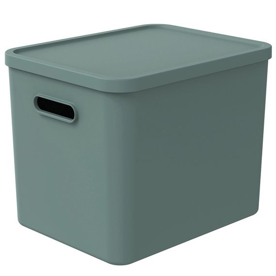 Контейнер для хранения вещей с крышкой Rotho (Рото) Albula 27 л (10631) Мятный