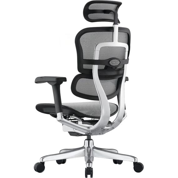 Кресло компьютерное ERGOHUMAN ELITE 2 (EHE2-AB-HAM-5D-L) сетка T-168-B2 NATURAL | Зображення 2