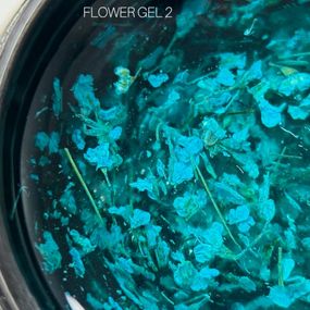 Гель з сухоцвітами SAGA Flower Gel №02 5мл