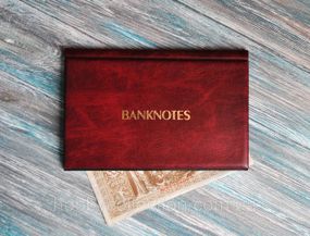 Альбом на бони кишеньковий BANKNOTES (XXL) 215х145 - 20 листів