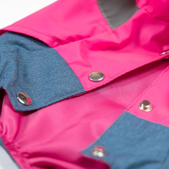 Дощовик Betty M Pet Fashion для собак дівчинка | Зображення 5