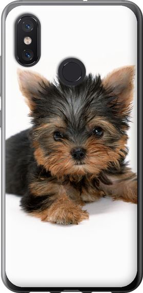 Чехол на Xiaomi Mi8 Щенок йоркширского терьера "931u-1499-17620"