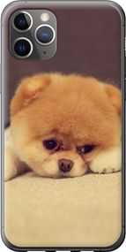 Чехол на iPhone 11 Pro Max Boo 2 "890u-1723-17620"
