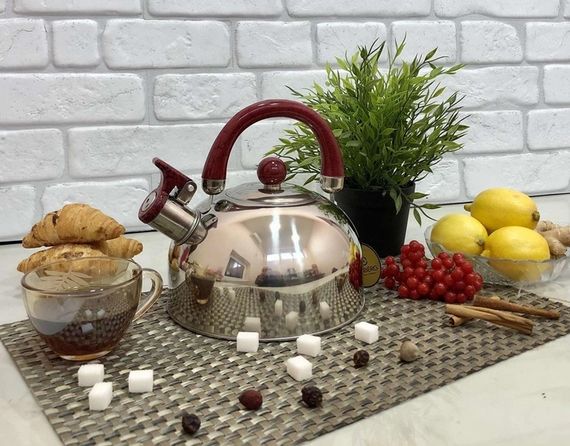 Чайник із свистком Edenberg EB-3552-Burgundy 2.5 л бордовий