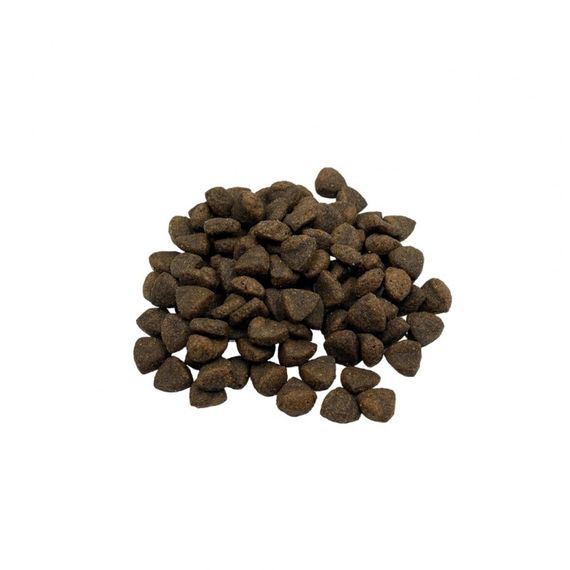 Сухий корм для собак дрібних порід з ягням Quattro Adult Lamb Small Breed, 1.5 кг | Зображення 1