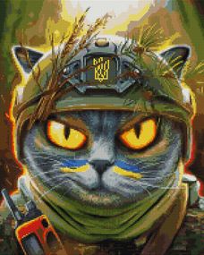 Котик розвідник ©Маріанна Пащук