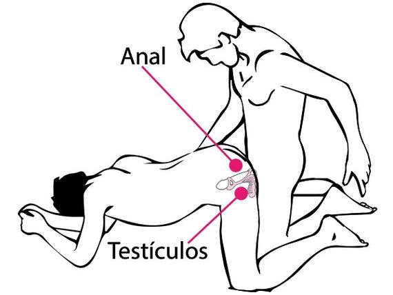 Ерекційне кільце з 2 моторами Adrien Lastic Gladiator F чорне Sex Aura | Зображення 3