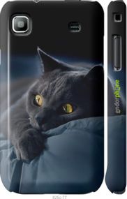 Чохол на Samsung Galaxy S i9000 Димчастий кіт "825c-77-2448"