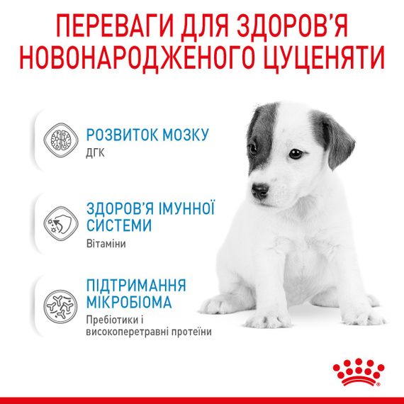 Замінник молока для цуценят Royal Canin Babydog Milk, 400 гр | Зображення 2