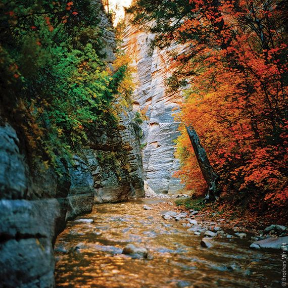 Фотоплівка кольорова KODAK Professional Ektar 100 135-36 | Зображення 2