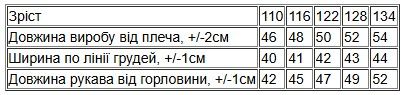 Худі для хлопчика (з капюшоном) Носи своє 110 Темно-синій (p-12412-139290) | Зображення 1