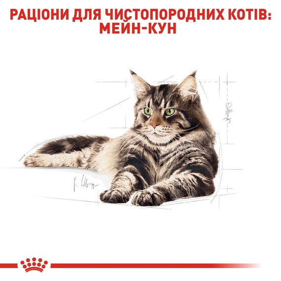 Сухий корм для котів породи мейн-кун Royal Canin Maine Coon, 4 кг | Зображення 2