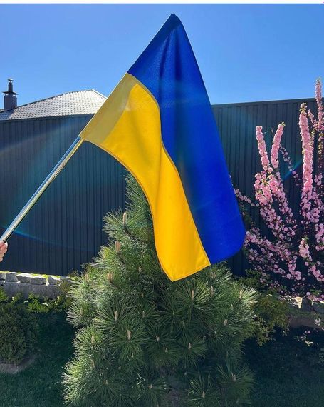 Флаг Украины Букопт нейлон 90*135 см BK3024 | Зображення 5