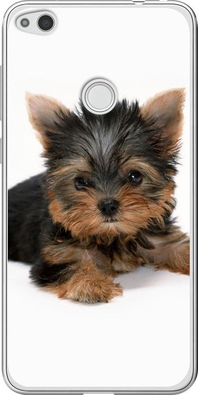 Чехол на Huawei P8 Lite (2017) Щенок йоркширского терьера "931u-777-17620"