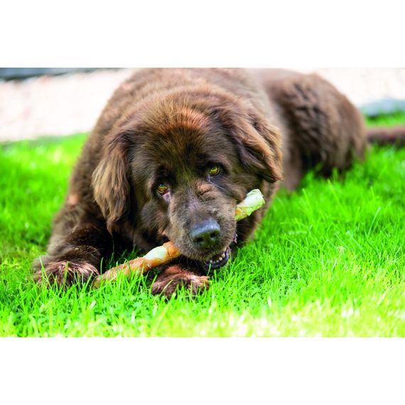 Ласощі Trixie Denta Fun Chewing Rolls для собак Палички для чищення зубів з куркою 28 см 250 г 3 шт | Зображення 3