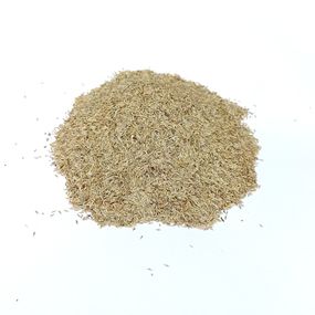 Насіння салату Одеський кучерявий 100 г