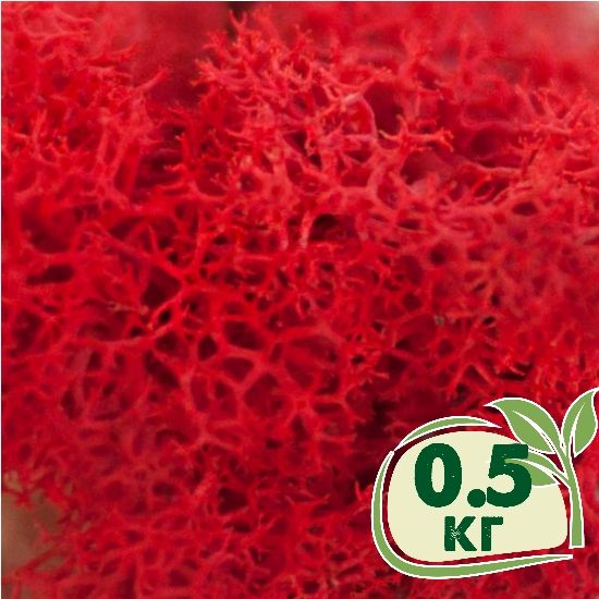 Стабілізований мох ягель Червоний 0,5 кг