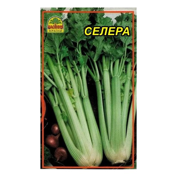 Насіння Селери листової 0,3 г (Насіння країни)