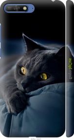 Чохол на Huawei Y6 2018 Димчастий кіт "825m-1637-2448"
