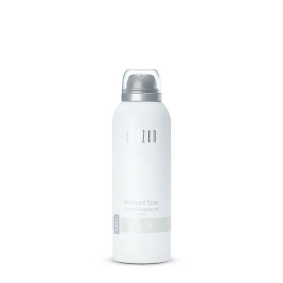 Дезодорант-спрей JANZEN Deodorant Spray Grey 04 (150 ml)