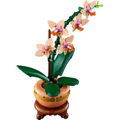 Конструктор LEGO Botanicals Мини орхидея (10343) | Зображення 4