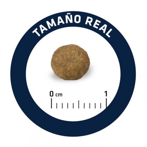 Сухий корм з куркою для цуценят малих порід Advance Mini Puppy, 3 кг | Зображення 5