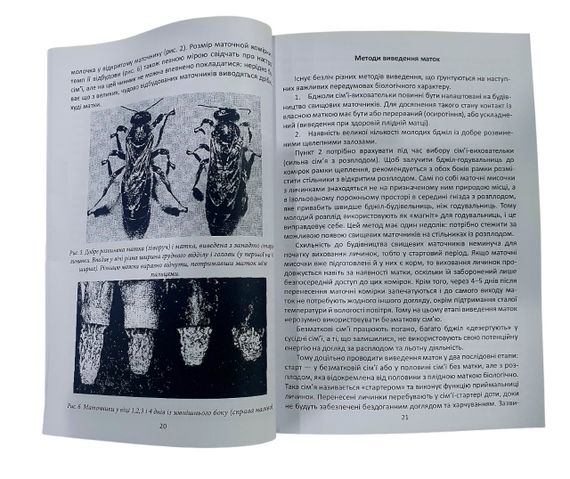 Книга “Техніка розведення та селекційний відбір бджіл” Ф. Руттнер | Зображення 2