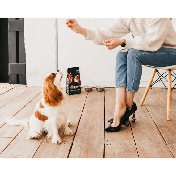 Корм сухий Savory Puppy rich in Fresh Turkey and Chicken для цуценят всіх порід зі свіжою індичкою і куркою 3 кг | Зображення 4