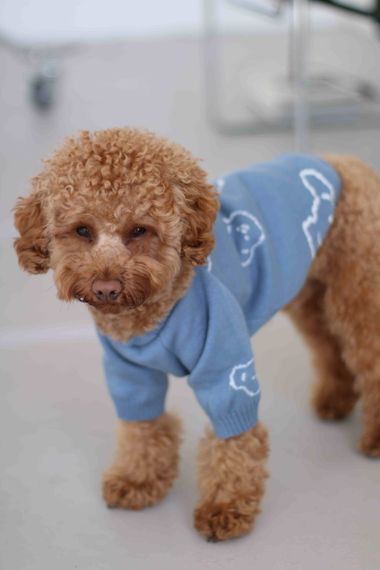 Светр в'язаний Ведмідь блакитний Y-285 | Зображення 1