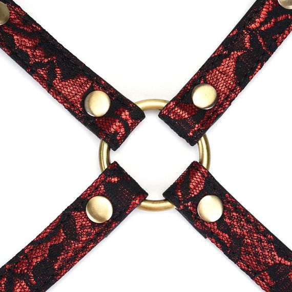 Хрестовина Liebe Seele Victorian Garden Hog Tie sexstyle | Зображення 1